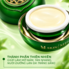 Kem Trị Nám Melasma MQ Skin – Melasma Face Cream MQSkin2