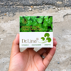 Kem Face Dr Lina Xanh 18g – Giải Pháp Giảm Mụn, Mờ Thâm, Sáng Da Hiệu Quả