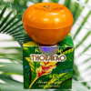 Kem Nghệ Thorakao 7g, Kháng Khuẩn, Giảm Sưng Và Làm Mờ Sẹo Nhanh Chóng10